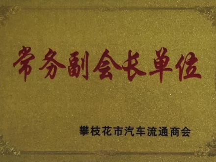 2010-攀枝花市汽車流通商會(huì)副會(huì)長(zhǎng)單位